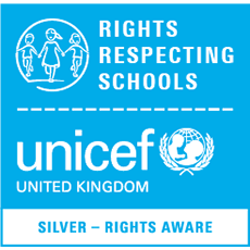 UNICEF Silver Logo
